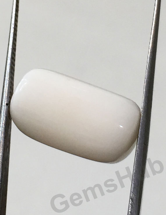 11.25 ratti/10.17 ct Natural Certified  White Coral/सफ़ेद मूंगा
